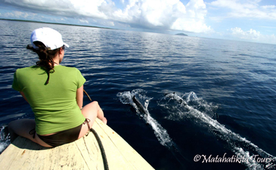 Dolphin Tour, Pics Courtesy: Jan Honza Haba
